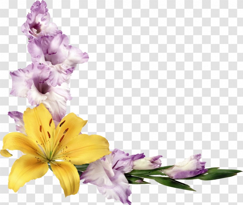 Flower Picture Frames Paper - Lilac - Gladiolus Transparent PNG