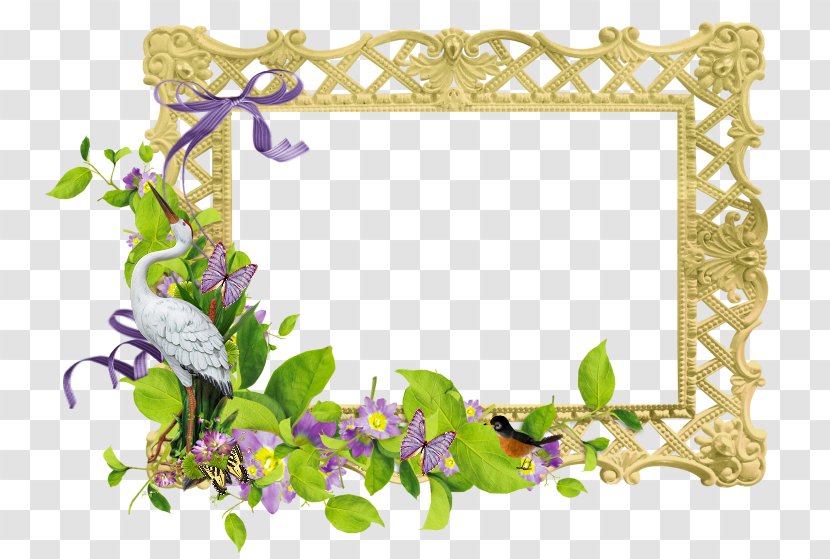 Picture Frames Cadre D'entreprise Clip Art - Floral Design - Meadow Clipart Transparent PNG