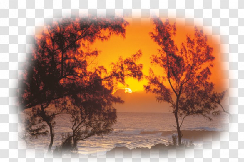 Landscape Painting February Reunion November - Sunset Transparent PNG