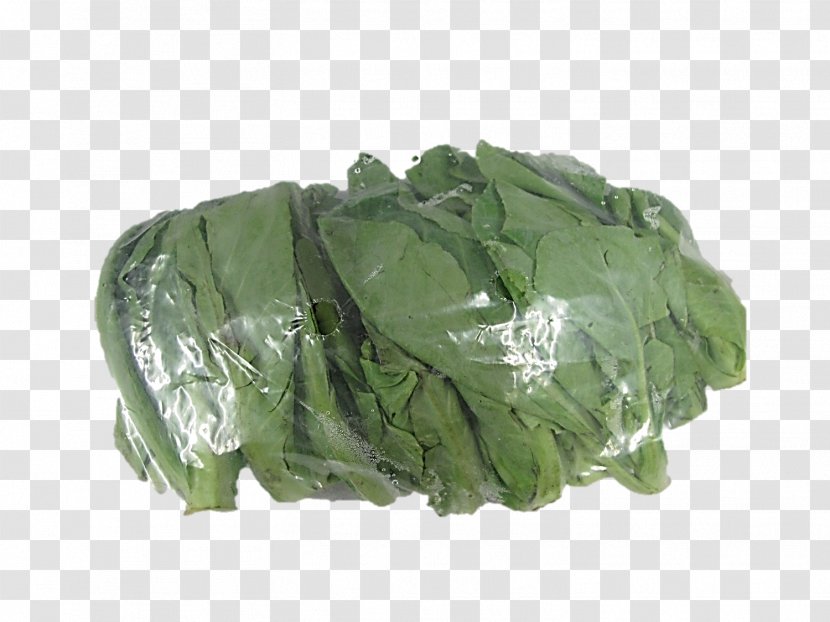 Chinese Broccoli Phat Si-io Cuisine Spring Greens Collard - Capitata Group - Kale Transparent PNG