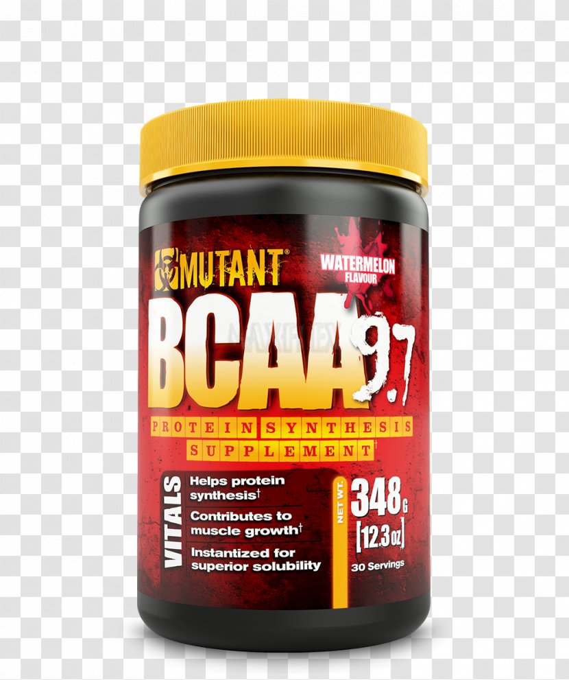 Branched-chain Amino Acid Dietary Supplement Muscle Branching - Branchedchain - Bcaa Transparent PNG