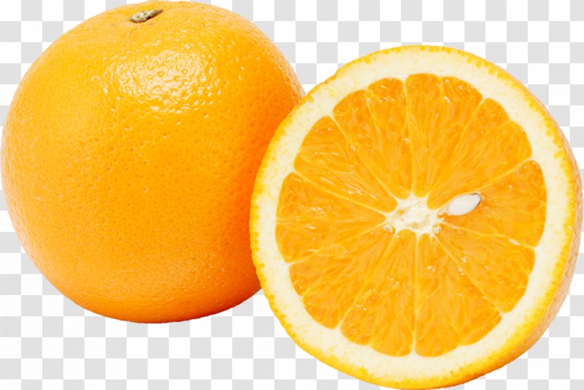 Mitoyo Blood Orange Satsuma Mandarin Zentsuji - Lemon - Enoteca Via Salaria Transparent PNG