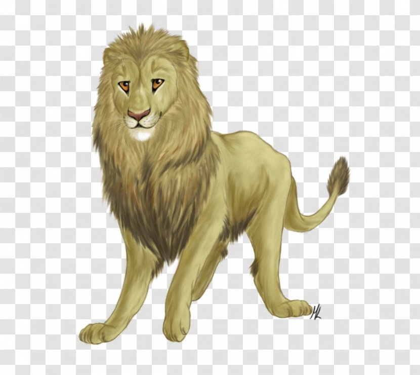 Lion Big Cat Roar Terrestrial Animal - Organism - Aslan Transparent PNG