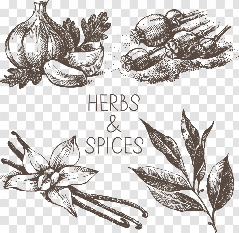 Drawing Royalty-free Clip Art - Floating Herbs Spices Transparent PNG