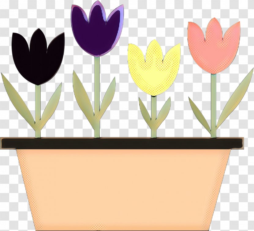 Lily Flower - Family - Crocus Plant Stem Transparent PNG