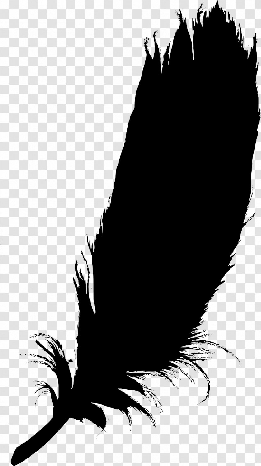 Beak Bird Of Prey Feather Quill - Black M - Blackandwhite Transparent PNG