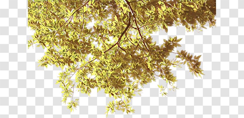 Real Estate Background - Plant - Flower Twig Transparent PNG