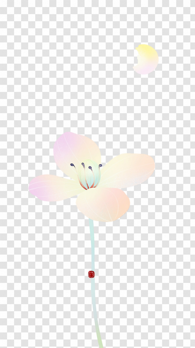 Flower Petal Pinwheel Computer M Transparent PNG