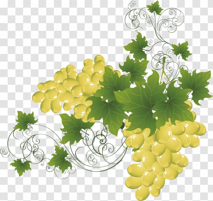 Wine Adobe Illustrator Grape Clip Art - Yellow - Grapes Decoration Vector Material Transparent PNG
