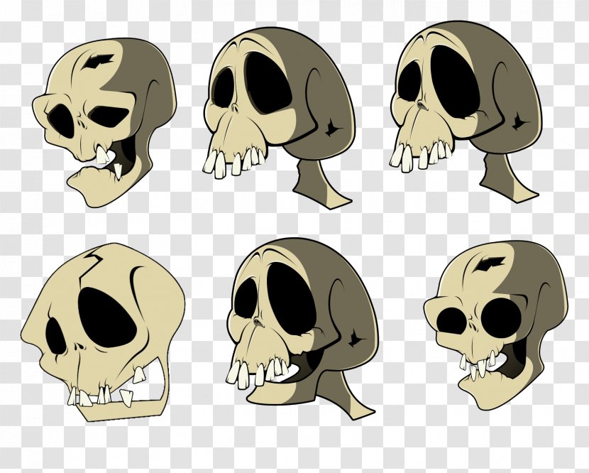 Snout Skeleton Jaw Skull - Animated Cartoon Transparent PNG