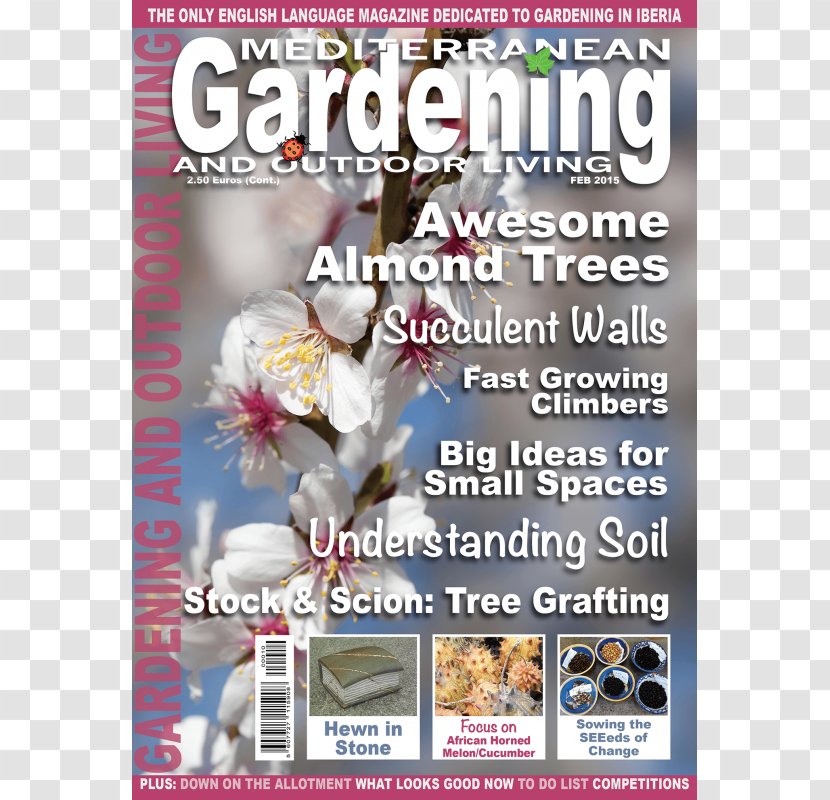 Magazine Recreation - Succulent Corner Transparent PNG