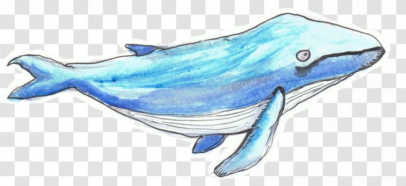 Common Bottlenose Dolphin Rough-toothed Tucuxi Animal Alphabet Adventures Cetaceans - Figure - Humpback Whale Transparent PNG
