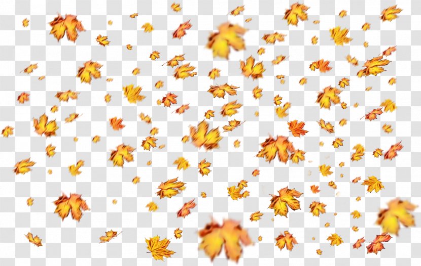 Watercolor Flower Background - Autumn Leaf Color - Wildflower Transparent PNG