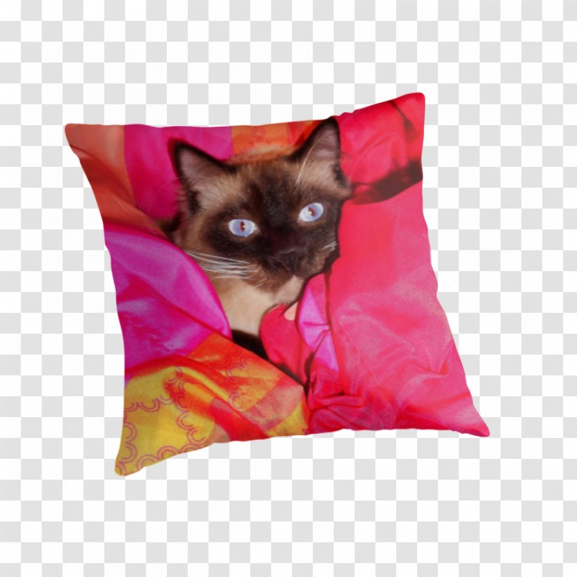 Kitten Whiskers Throw Pillows Cushion - Pillow Transparent PNG
