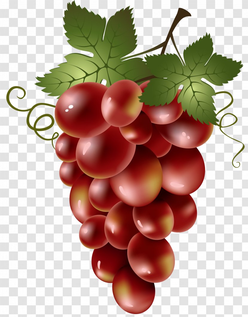 Red Wine Common Grape Vine Clip Art - A Bunch Of Grapes Transparent PNG