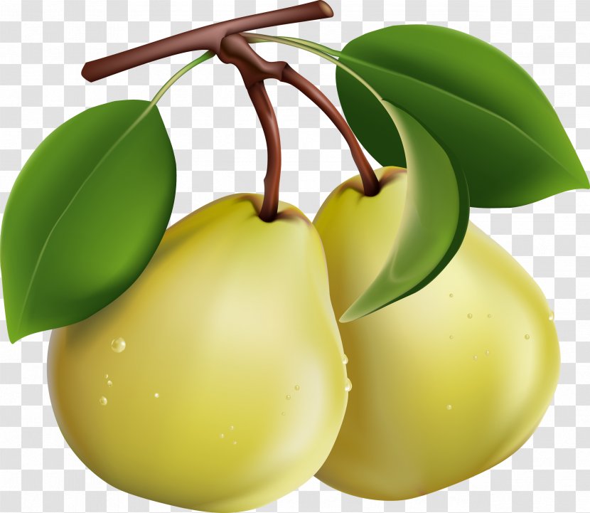 Pear Fruit Salad Computer File - Image Formats - Picture Transparent PNG