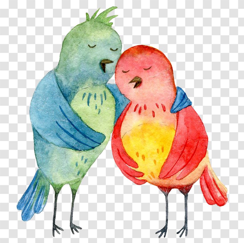 Lovebird Feather Watercolor Painting Illustration - Art - Hand-painted Birds Transparent PNG