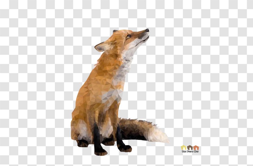 Red Fox Stock Photography Animal - Wildlife Transparent PNG