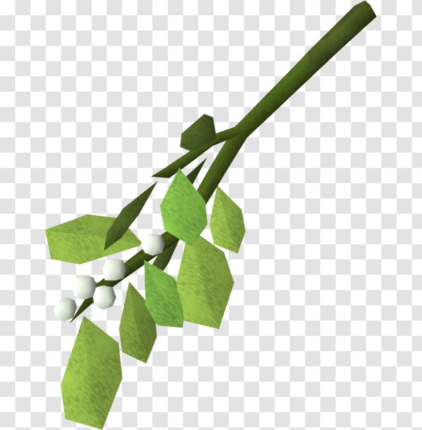 Mistletoe RuneScape Phoradendron Tomentosum Plant Kiss - Video Game Transparent PNG