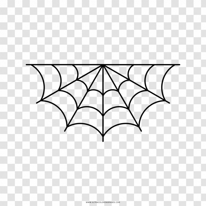 Spider Web Clip Art - Area Transparent PNG