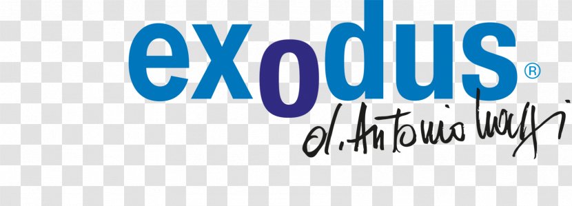 International Dyslexia Association Nexstar Media Group 600 040 Organization - Brand - Marco Bocci Transparent PNG