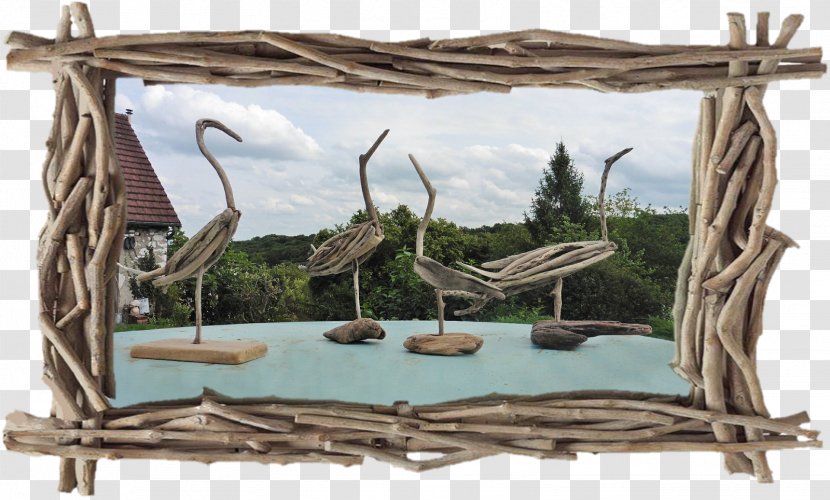 Driftwood Spiegel Online - Fauna - Anne Amie Vineyards Transparent PNG