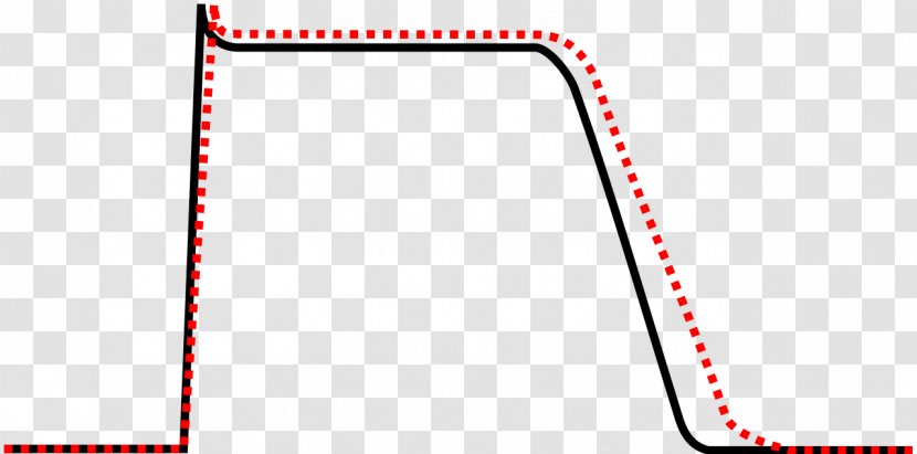 Cardiac Action Potential Antiarrhythmic Agent Sodium Channel Calcium Blocker - Potassium Transparent PNG