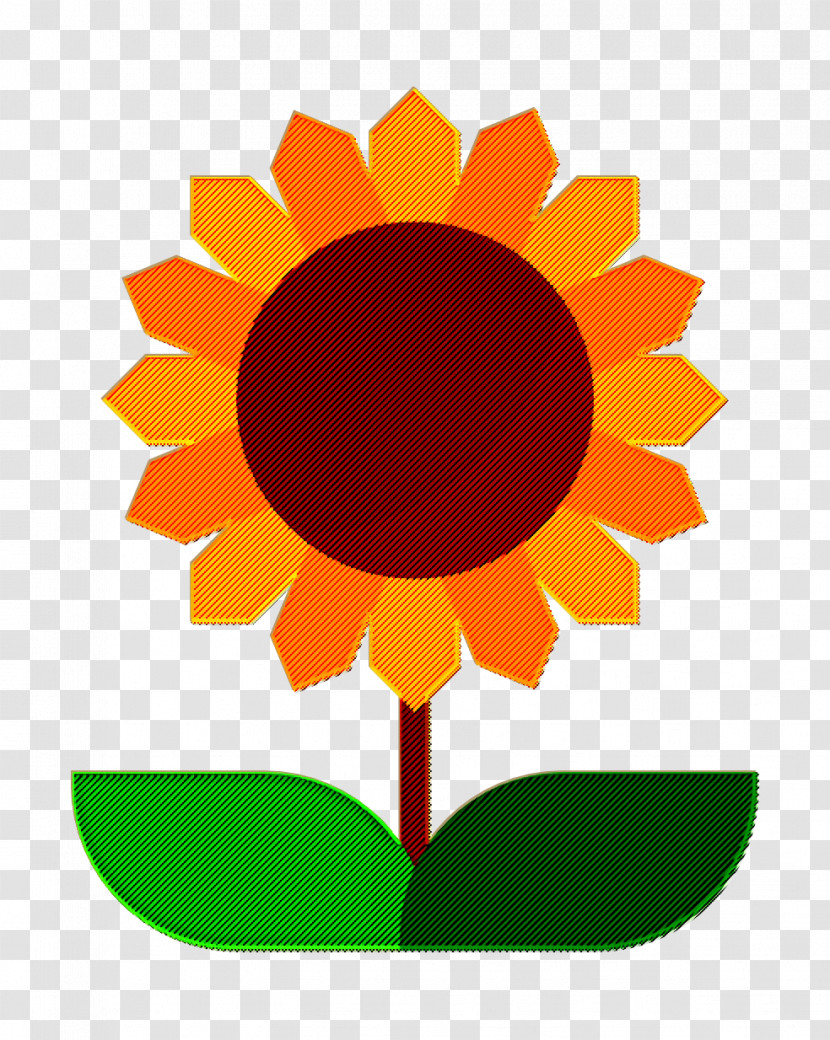 Sunflower Icon Farming And Gardening Icon Flower Icon Transparent PNG