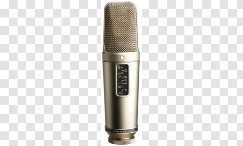 Røde Microphones RØDE NT2-A Condensatormicrofoon Recording Studio - Tree - Microphone Transparent PNG