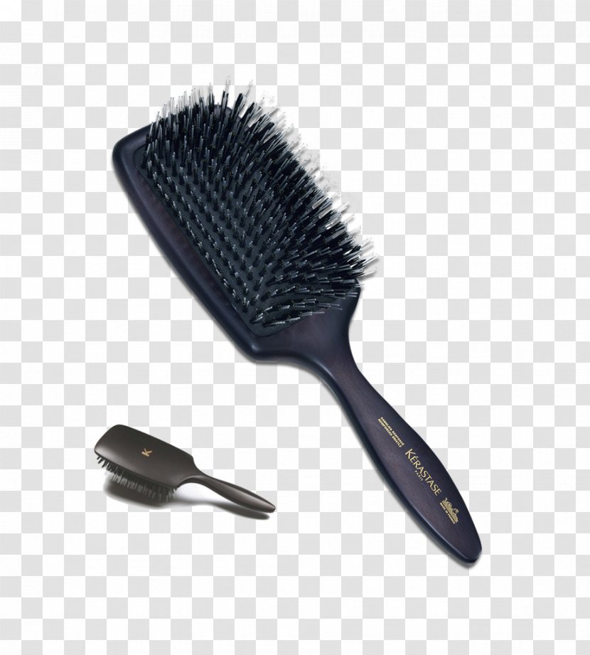 Hairbrush Bristle Kérastase Hairstyle - Hair Transparent PNG