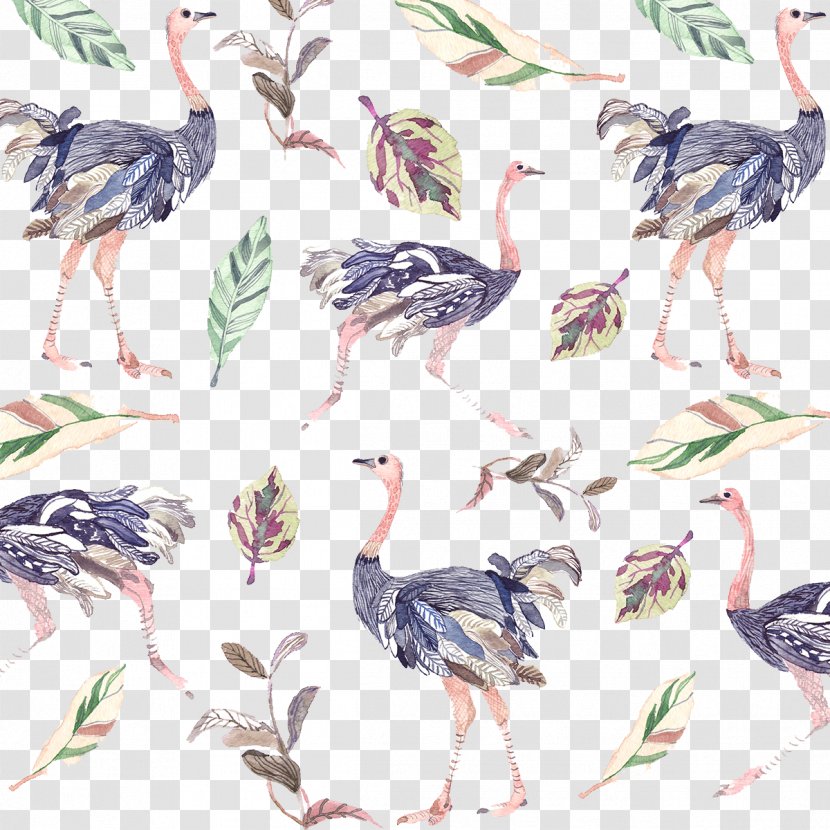 Common Ostrich Bird Creativity Illustration - Painted Peacock Pattern Diagram Transparent PNG