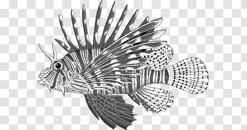 Red Lionfish Orange Beach Invasive Species Animal - Fish - Vector Transparent PNG