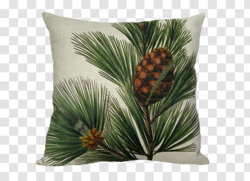 Throw Pillows Cushion Down Feather Slipcover - Conifer Cone - Pine Boughs Transparent PNG