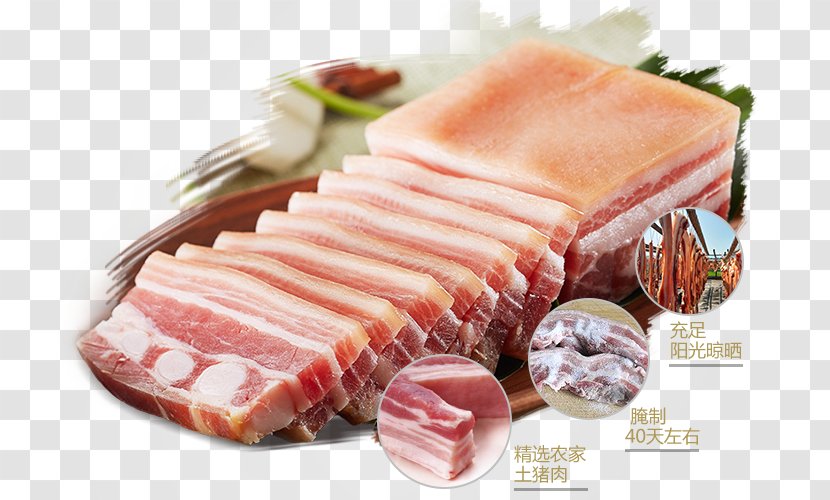 Sausage Back Bacon Ham Food - Tree - Creative Transparent PNG