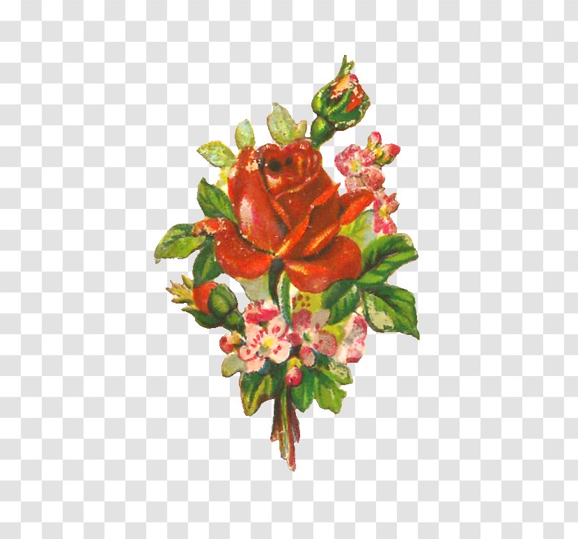 Garden Roses Flower Floral Design Clip Art - Cut Flowers - Rose Transparent PNG