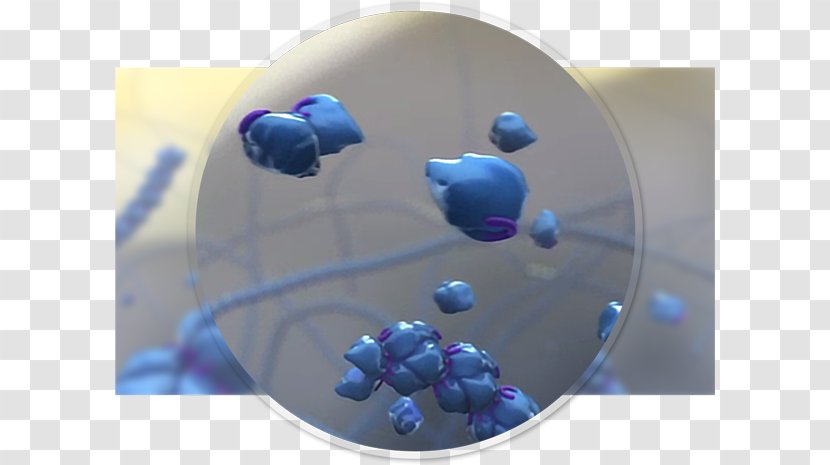 Plastic Balloon - Blue - Absorbed Molecule Transparent PNG