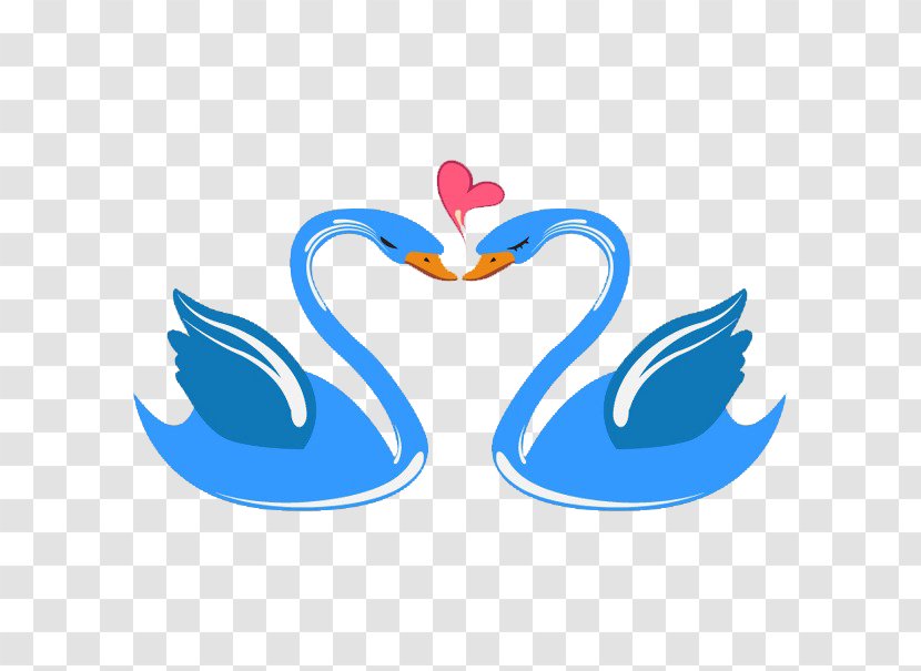 Cygnini Bird Love Marriage Illustration - Symbol - Cartoon Couple Swan Transparent PNG