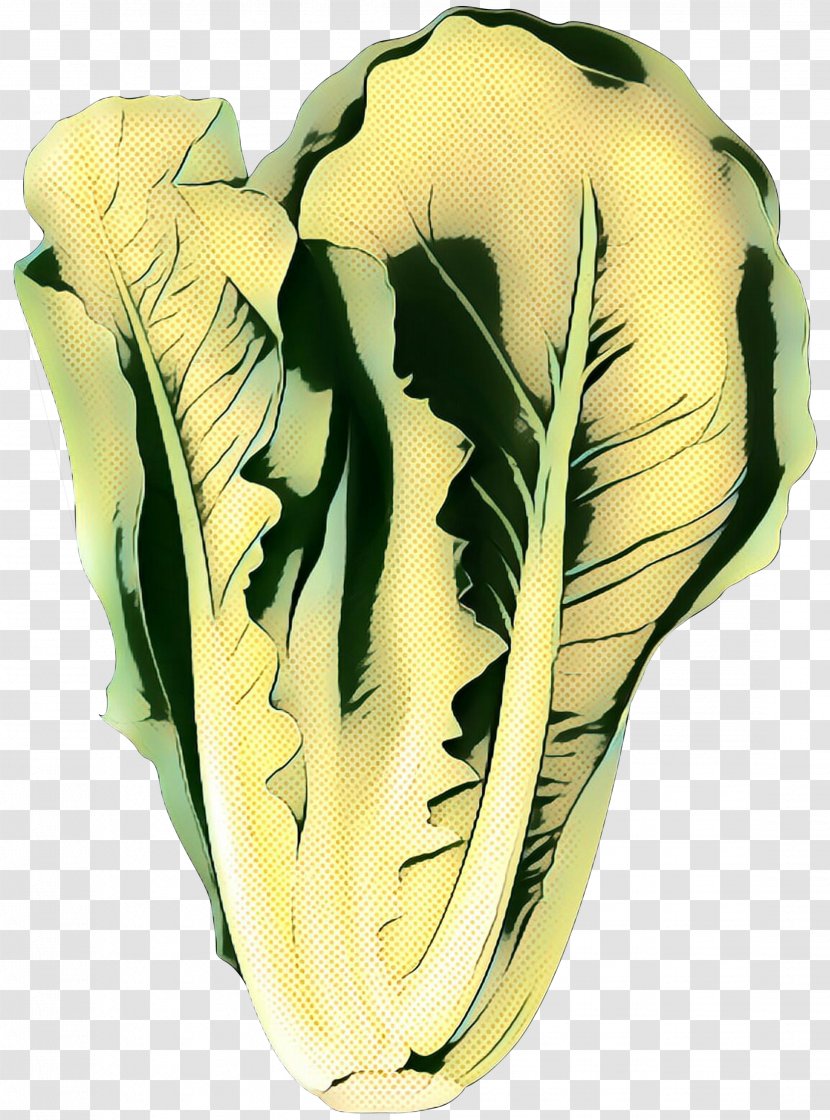 Plants - Vegetable - Leaf Transparent PNG