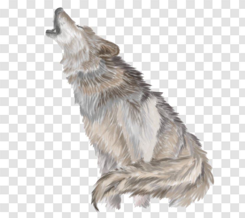 Gray Wolf Clip Art - Dog Breed Group - Wolves Howl Transparent PNG