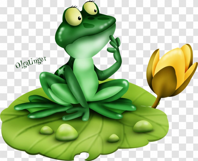 Frog Amphibians Image Drawing - Blog Transparent PNG