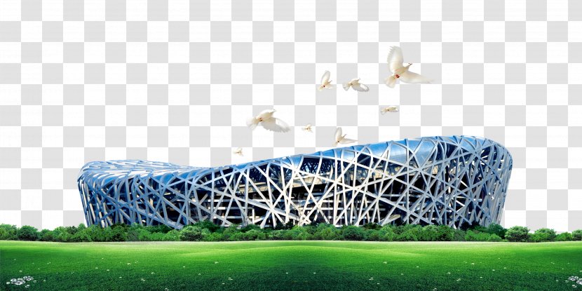 Beijing National Stadium Aquatics Center Poster - Structure - Sunshine Nest Landscape Transparent PNG