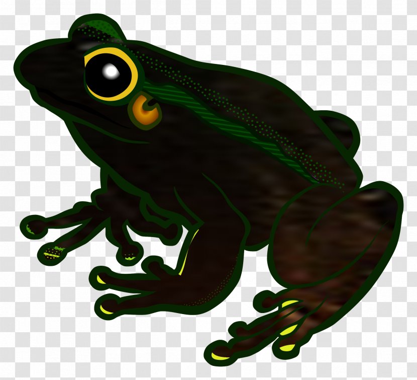 Frog Clip Art Vector Graphics Free Content - Organism Transparent PNG