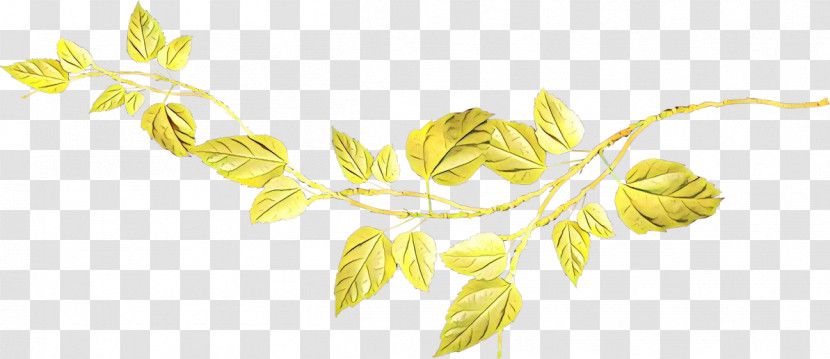 Yellow Leaf Plant Flower Transparent PNG