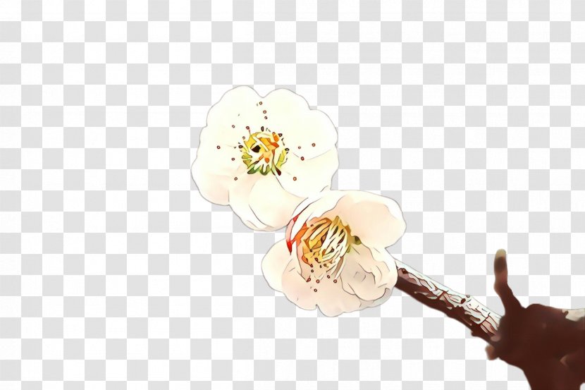 Flower Plant Blossom - Cartoon Transparent PNG