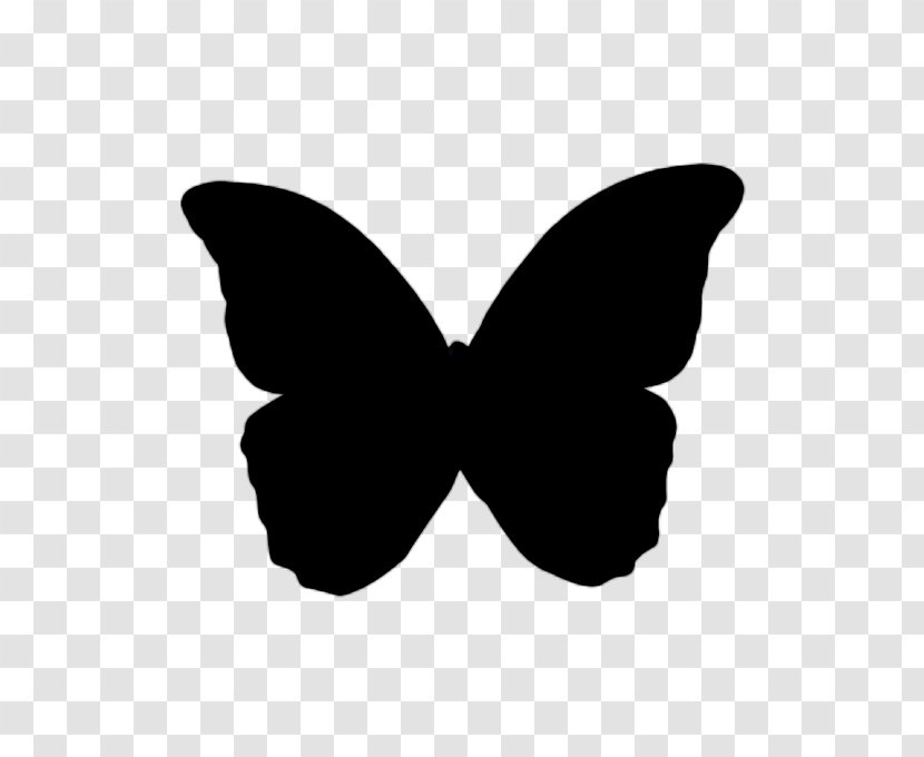 Butterfly Drawing - Wing - Group Transparent PNG