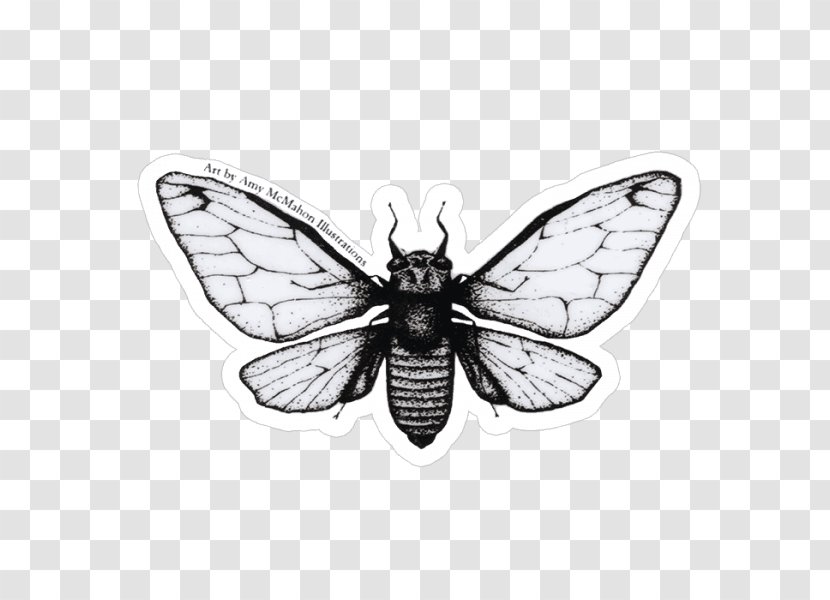 Butterfly Sticker Decal Cicadoidea Fly Fishing - Black And White Transparent PNG