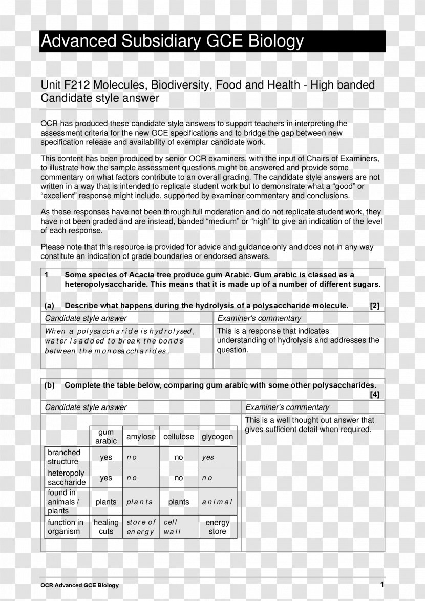 Document Line White - Paper Transparent PNG