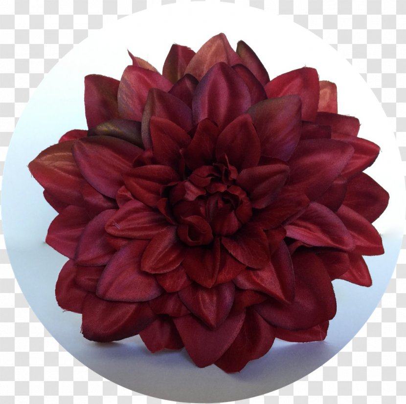 Dahlia Cut Flowers Petal Email - Flower Transparent PNG