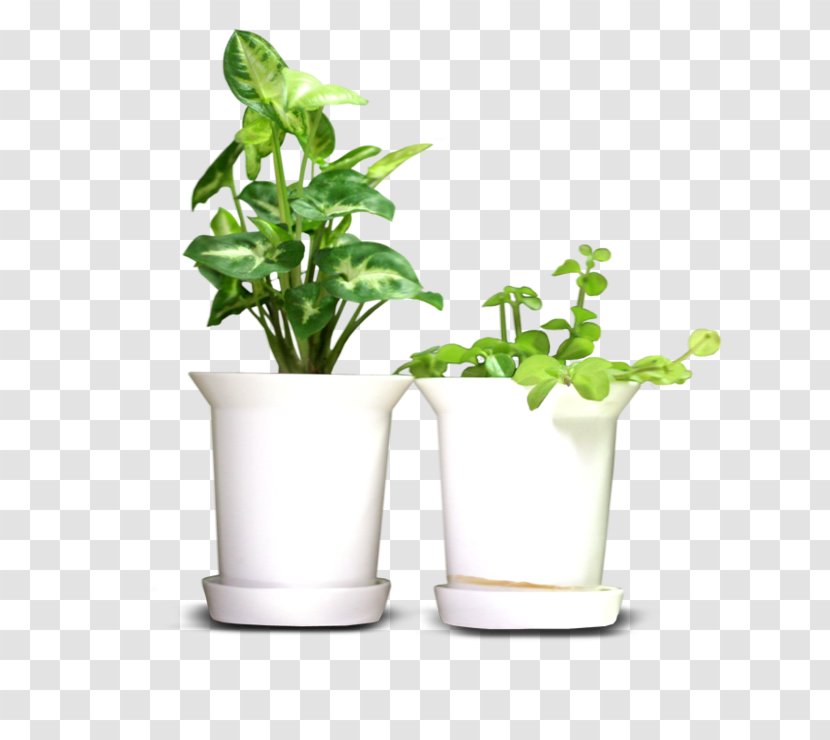 Flowerpot Adobe Photoshop Image Design - White - Cooking Transparent PNG