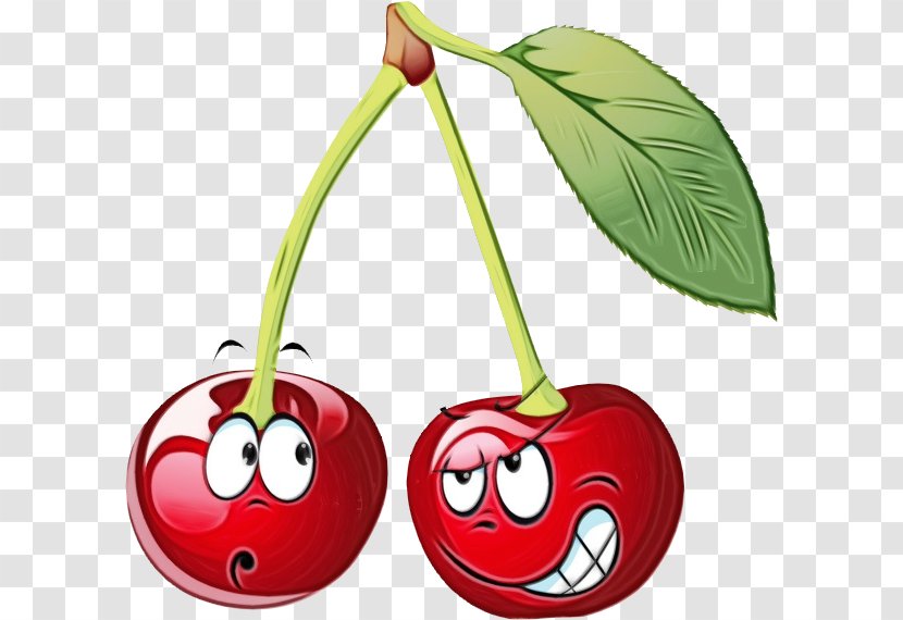 Cherry Red Plant Fruit Clip Art - Drupe - Smile Prunus Transparent PNG